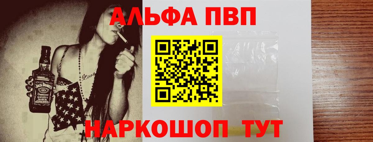 Альфа ПВП СК Санкт-Петербург