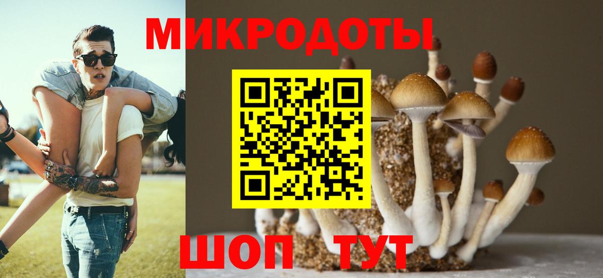 Санкт-Петербург  Галлюциногенные грибы прущие грибы  Вход с VPN 