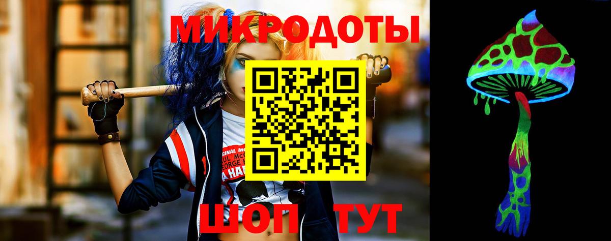 Псилоцибиновые грибы мицелий Санкт-Петербург