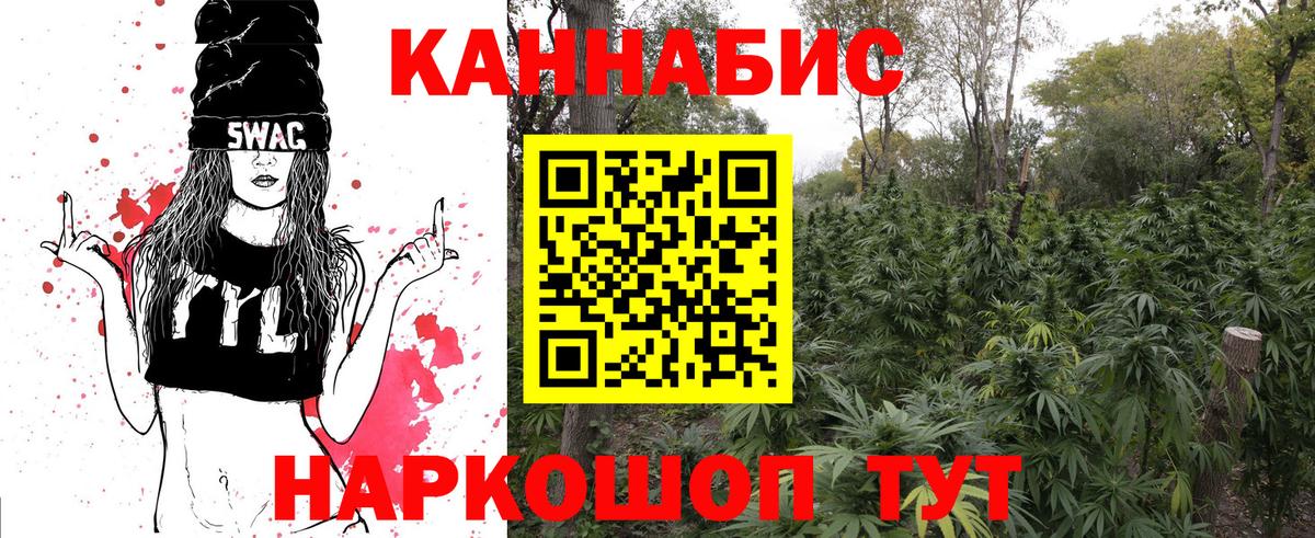Шишки марихуана VHQ  Бошки марихуана OG Kush  Бошки марихуана сатива  Вход с VPN  Санкт-Петербург 